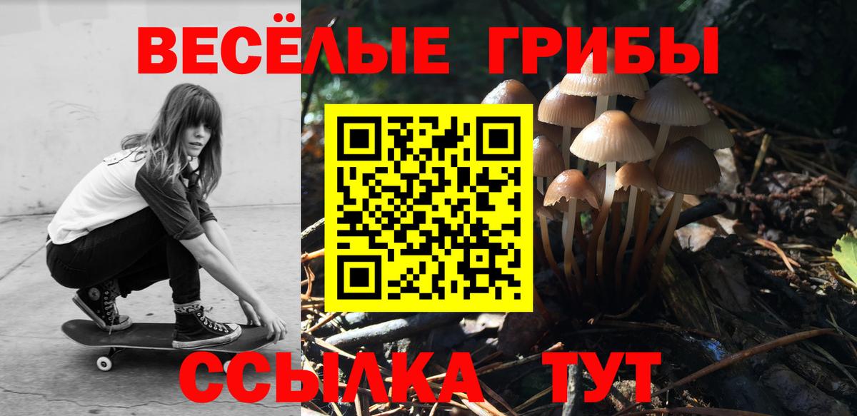 Псилоцибиновые грибы Magic Shrooms Ухта